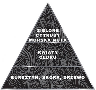 DEZODORANT W SZTYFCIE SALMING SILVER